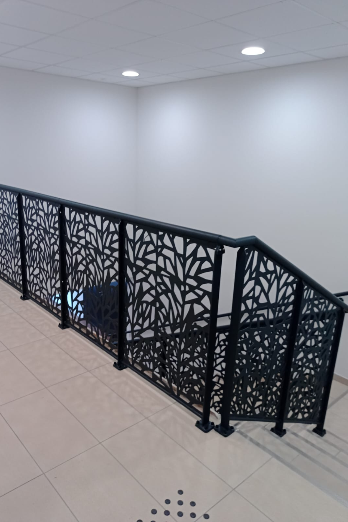 Garde-corps sur-mesure